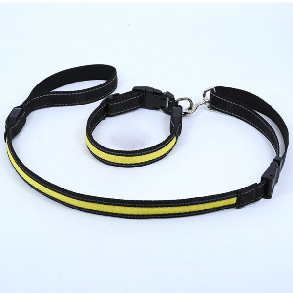 Water Proof LED Pet Collar w/ leash