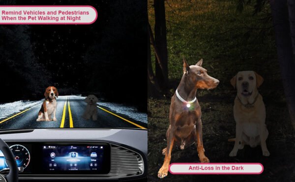 Luminous Pet Pendant