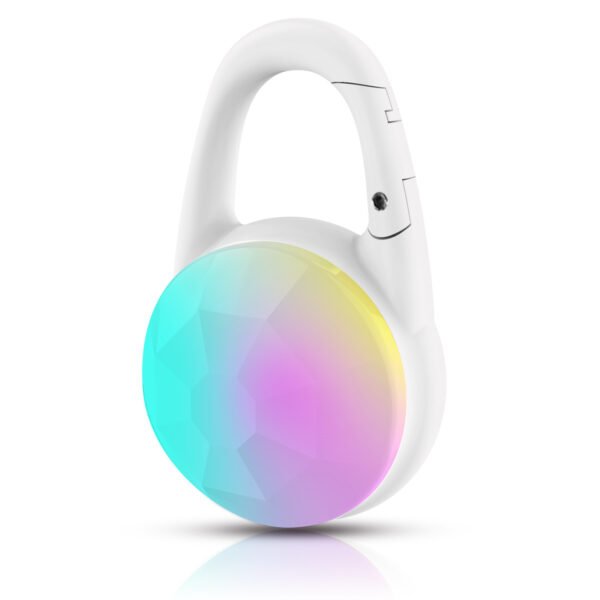 Luminous Pet Pendant