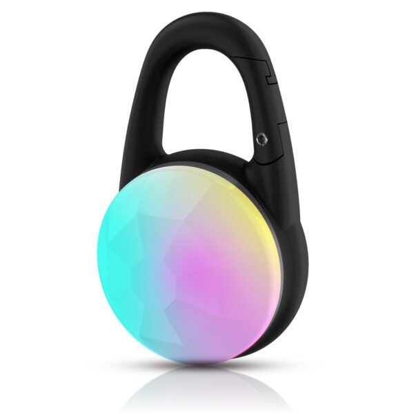 Luminous Pet Pendant