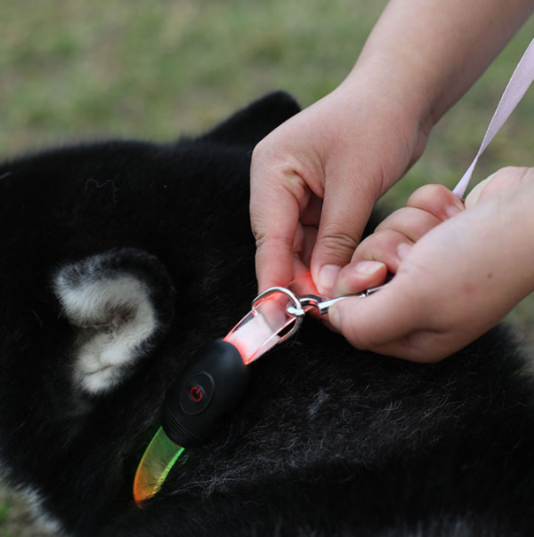 Flat Strap Full-Body Pet Collar