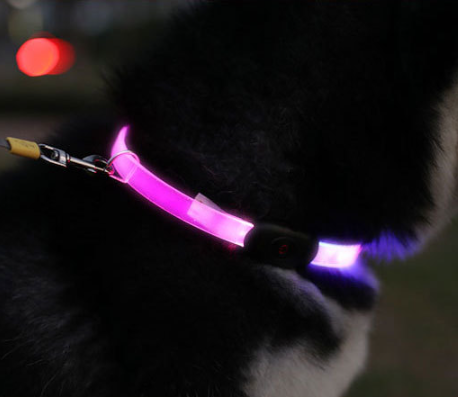 Flat Strap Full-Body Pet Collar
