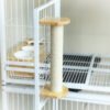 cat scratching post