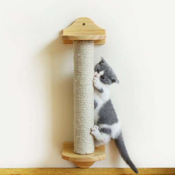 cat scratching post