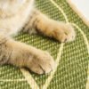 Longifolia Candlestick Cat Scratching Mat