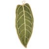 Longifolia Candlestick Cat Scratching Mat