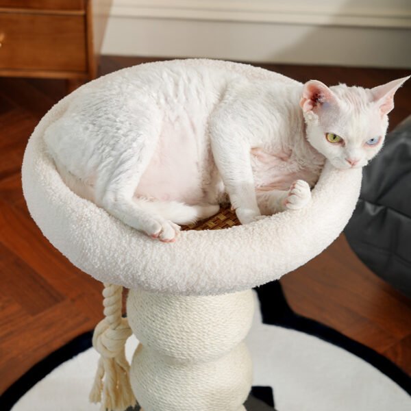 Mini Groud Cat Tree