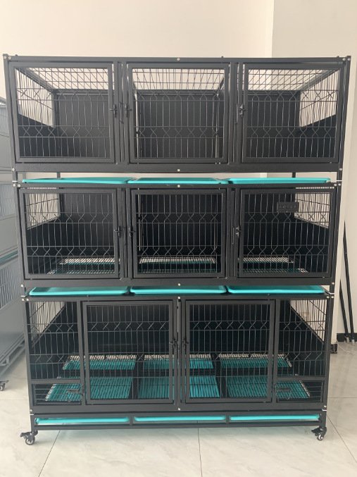 Pet Boarding Cabinet