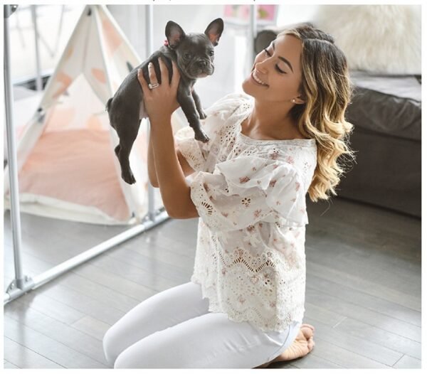 Transparent Acrylic Indoor Dog Enclosure