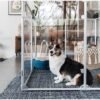 Transparent Acrylic Indoor Dog Enclosure