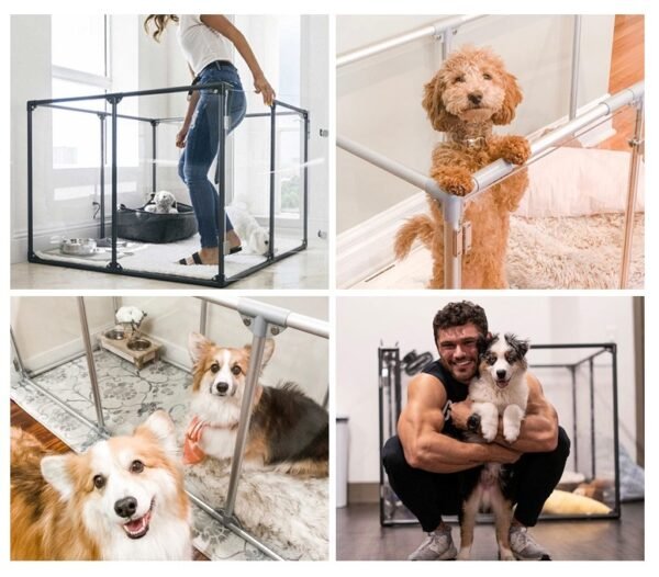 Transparent Acrylic Indoor Dog Enclosure