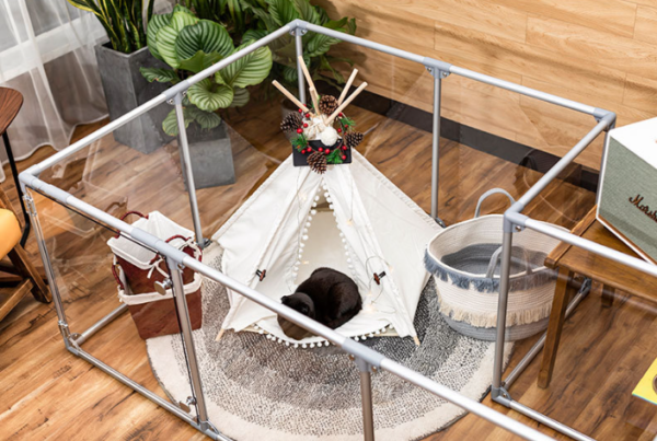 Transparent Acrylic Indoor Dog Enclosure