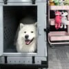 O1CN01kR9PsM2Gt24nvAafN_!!2209175139072-0-cib Collapsible aluminum alloy dog cage for medium to large dogs