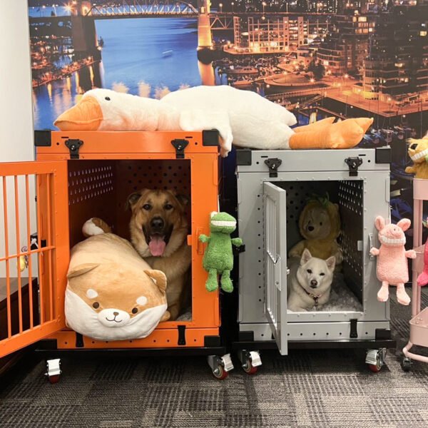 O1CN01wSXK8W2Gt24qWGBan_!!2209175139072-0-cib Collapsible aluminum alloy dog cage for medium to large dogs