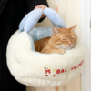 Hexagonal Portable Pet Bed